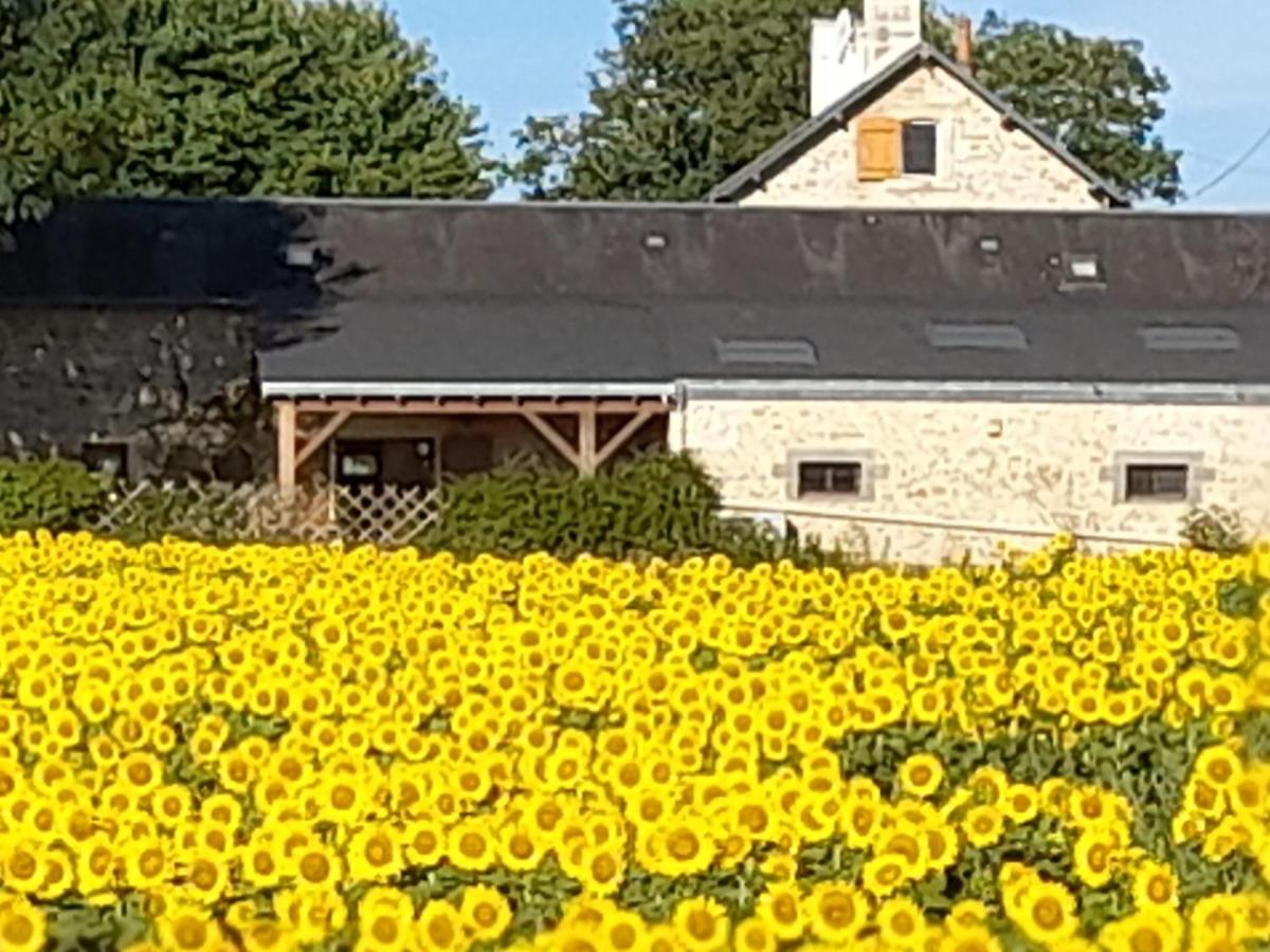 3 Self-Contained Gites With Pool And Games Room Saint-Georges-de-Noisne Exterior foto